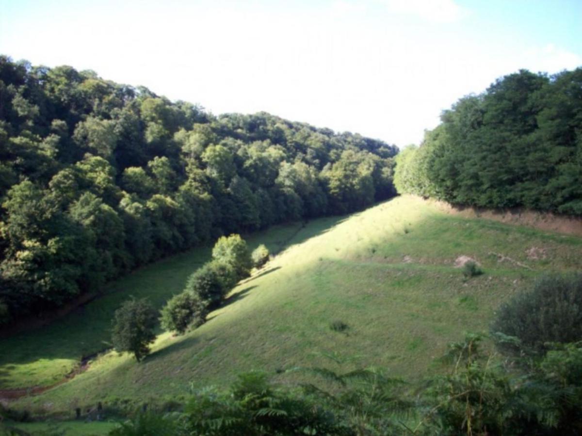Cosy Chalet With Private Garden In Normandy Isigny-le-Buat Room photo